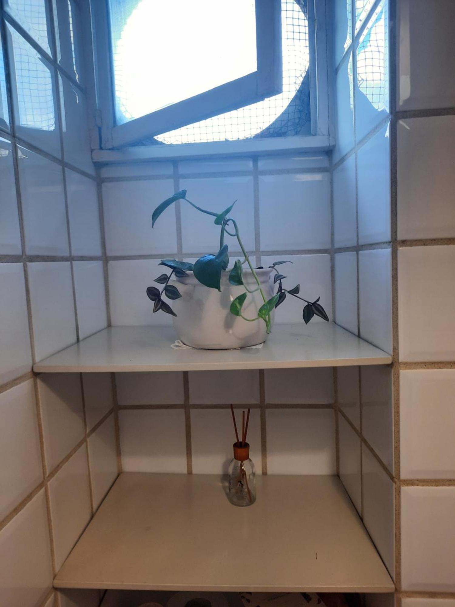 Casa Mia All'appio Latino Apartment Rom